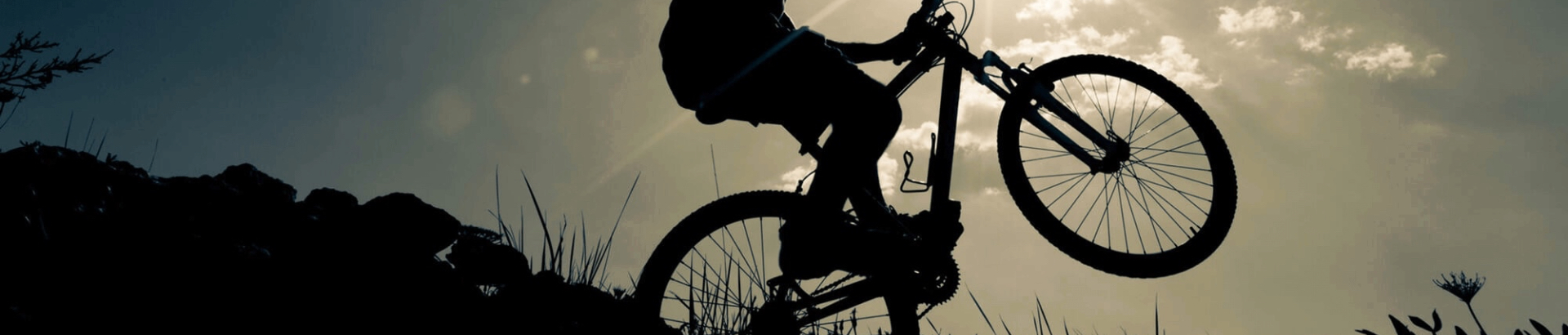 Cyclocross Bike vs. Gravel Bike: What’s the Difference and Which One Should You Choose?
